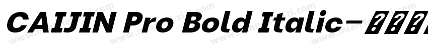 CAIJIN Pro Bold Italic字体转换